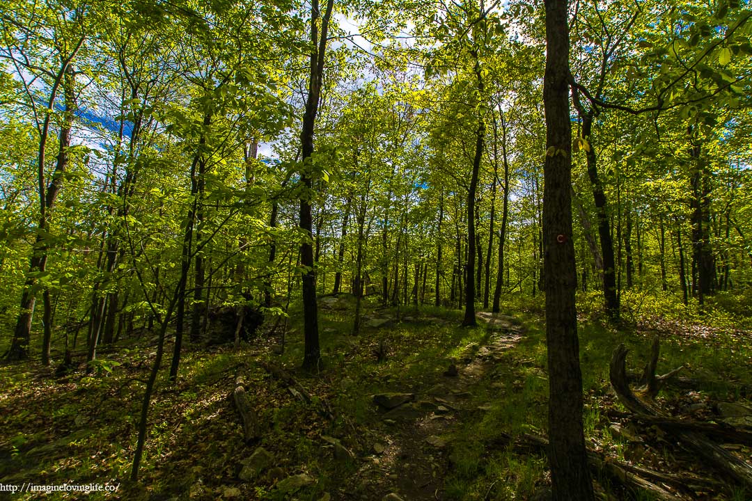 Red Cannon Ball Trail